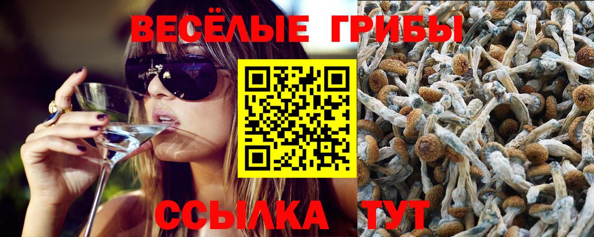 Галлюциногенные грибы MAGIC MUSHROOMS Белая Калитва